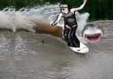 Lady Gaga Falls