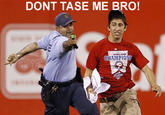 Phillies Tased Fan