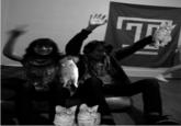 Boozecats