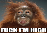 I'M SO FUCKING STONED
