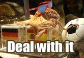 Paul The Octopus