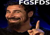 fgsfds