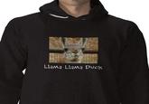 The Llama Song