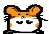 Hampster Dance