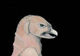 Montauk Monster