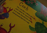 Spy Crab
