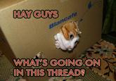 Hey Guys What's Going On This Thread?