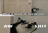 Hey Guys What's Going On This Thread?