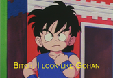"Bitch I Look Like Goku"