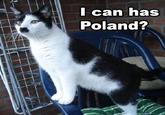 Kitler