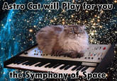 Cat on a Keyboard in Space