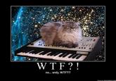Cat on a Keyboard in Space