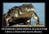 Interior Crocodile Alligator