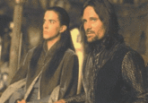 Figwit