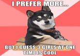 Cool Dog