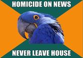Paranoid Parrot