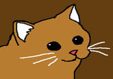 Starecat / Grafics Cat