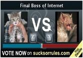 Final Boss of the Internet