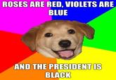 Advice Dog