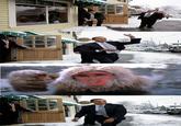 Obama Snowball