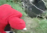 Girl Throws Puppies into a River