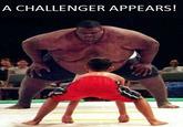 A Challenger Appears