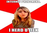 Meme Expert