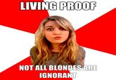 Meme Expert