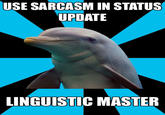 Social Networking Dolphin