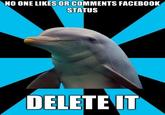 Social Networking Dolphin