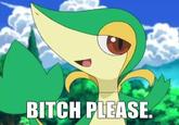 B*TCH, please.