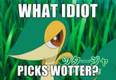 Smugleaf / Snivy