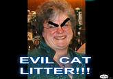 Mary Bale (Woman dumped cat in wheelie bin)