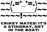Steve Irwin/Stingrays