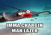 Steve Irwin/Stingrays