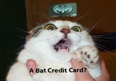 Bat Credit Card