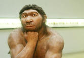 alg_neanderthal.jpg