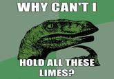 Limes Guy / Why Can't I Hold All These Limes?