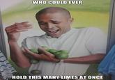 Limes Guy / Why Can't I Hold All These Limes?