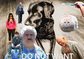 Meme Overload