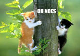 Oh NOES!