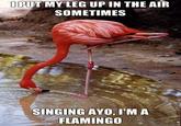 I Throw My Hands Up In The Air Sometimes Saying Ayo