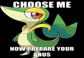 PREPARE YOUR ANUS