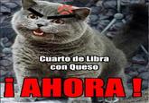 Cuarto de libra con queso