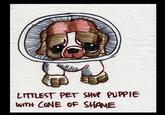 Cone of Shame