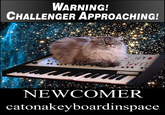 Cat on a Keyboard in Space