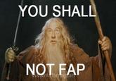 You Shall Not Pass!!!
