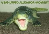 Big Lipped Alligator Moment