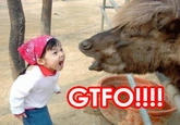 Girl Yelling at Yak