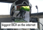 BXF - The Funniest Pic Ive Seen In A Long time
